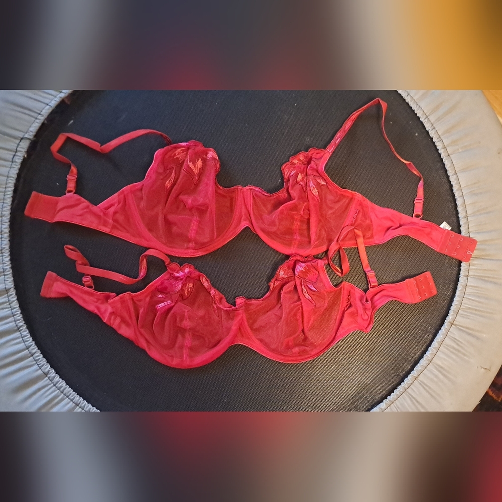 La SENZA Vibrant Red Sheer Bra. 40DD.